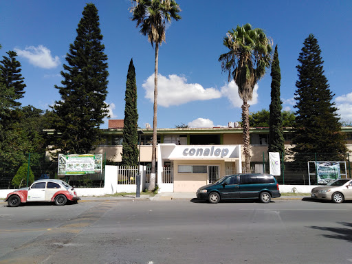 213 CONALEP Don José María Hernández Martínez