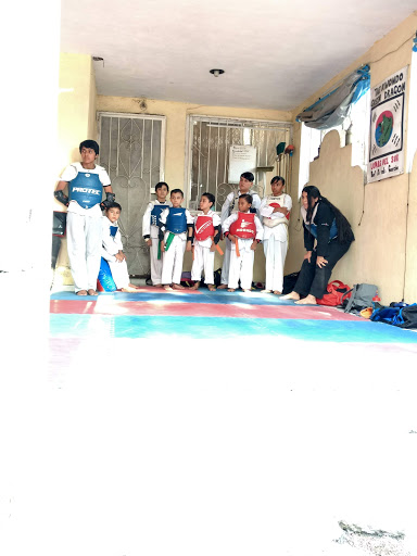 Tae Kwon Do