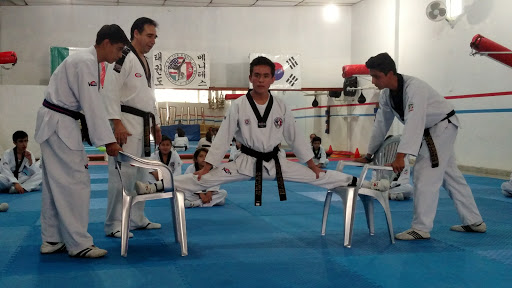 ACADEMIA DE TAEKWONDO BENITEZ
