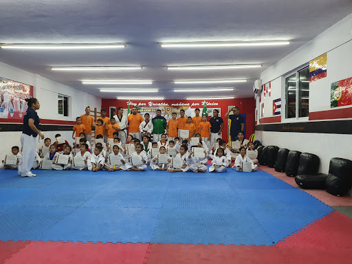 ACADEMIAS LARA DE TAE KWON DO CENTRO DE ALTO RENDIMIENTO MERIDA YUCATAN