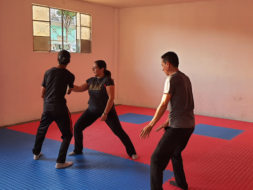 ACAMA Academia Cultural de Artes Marciales Asiáticas