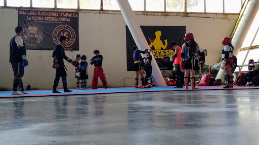 ALBERCA SEMIOLIMPICA SAN BUENAVENTURA