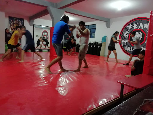 ARTES MARCIALES MIXTAS TEAM FALCON