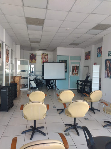 Academia ALFAPARF - Tijuana