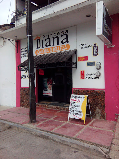 Academia de Belleza Princesa Diana