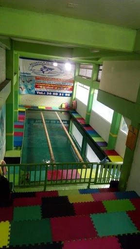 Acuatica El Quijote (Escuela De Natación)