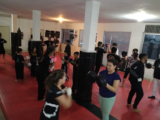 Agni Hapkido Tlaquepaque