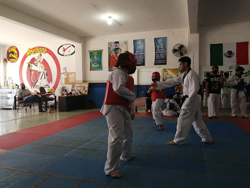 Arellano Tae Kwon Do