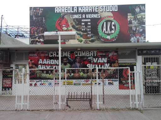 Arreola Karate Studio 