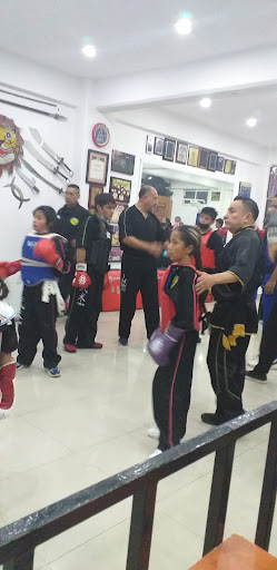 Arte Marcial Chino y Kick Boxing
