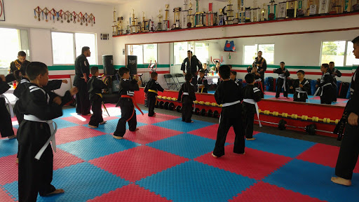 Artes Marciales Lima Lama 