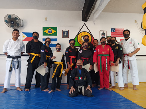 Artes Marciales Mixtas Ortíz V Jitsu Ryu