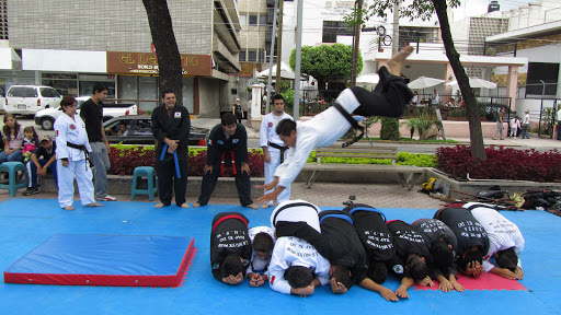 Artes Marciales de Korea