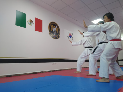 Asociación Mexicana de Taekwondo Dojang Mul Sawon