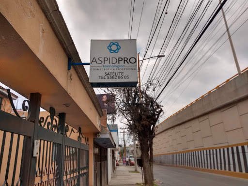 Aspidpro Tecnológico Satelite