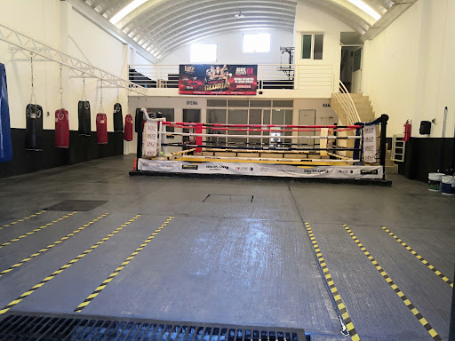 Bracamontes Boxing Club