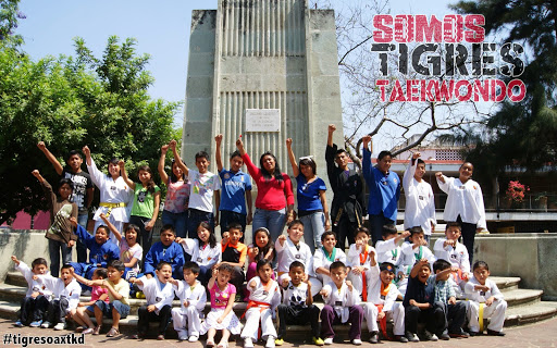 C.I.D. Tigres Tkd Oaxaca
