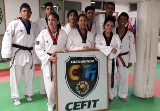 CEFIT Tae Kwon Do Central
