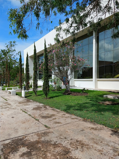 CELLAP Tampico