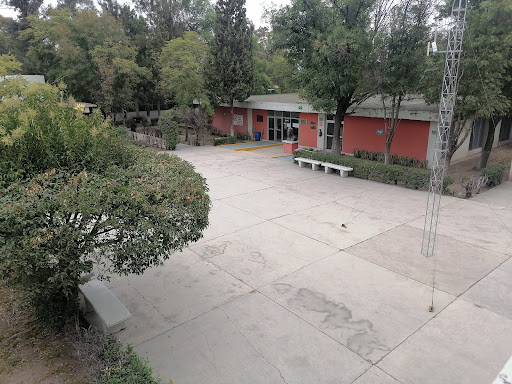 CONALEP: Ing Manuel Moreno Torres Squad