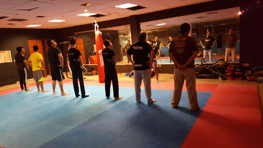 COTA MMA Laguna