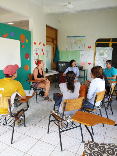 Calli Language School (Centro de Idiomas)
