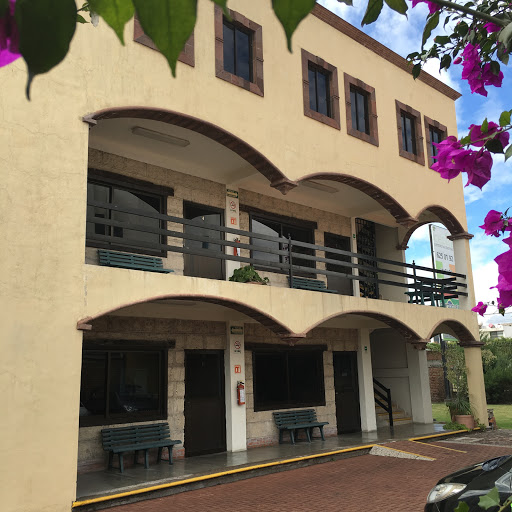 Cedin English Centre