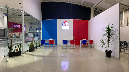 Centro Universitario Trilingüe Plantel Coacalco