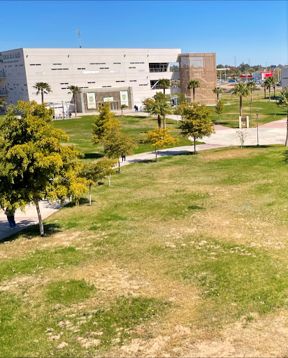 Ciencias de la Salud - Universidad Autónoma de Baja California