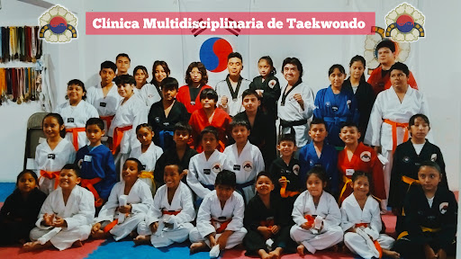 Clínica Multidisciplinaria de Taekwondo