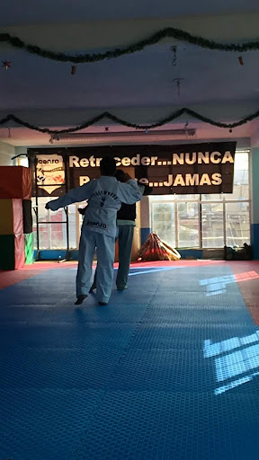Club Panteras. Instituto de Desarrollo y Especialización en Taekwondo Jeonsa A.C.
