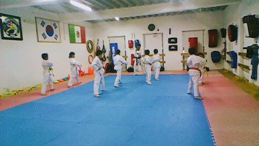 Colegio Autonomo de Tae Kwon Do