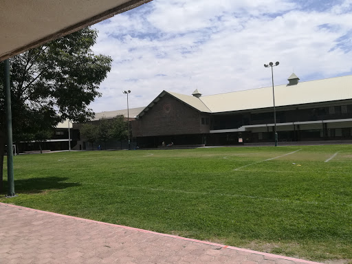 Colegio Inglés Torreón 9987