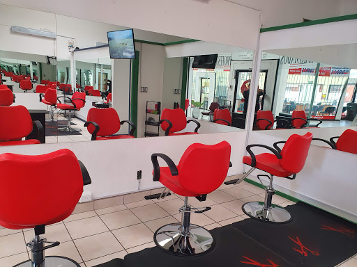 Diplomados Profesionales en Cosmetología