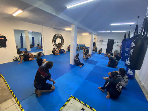 Dominio: Jiu Jitsu - Kickboxing - Boxeo - MMA - Acondicionamiento