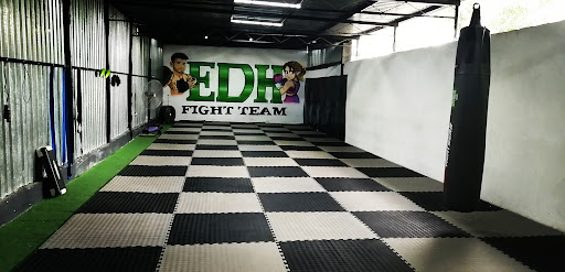 EDH FIGHT TEAM