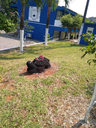 ESCUELA DE CONTADURÍA Y ADMINISTRACIÓN UNACH CAMPUS VII PICHUCALCO