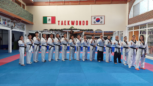 Elite Taekwondo Hwarang México A.C.