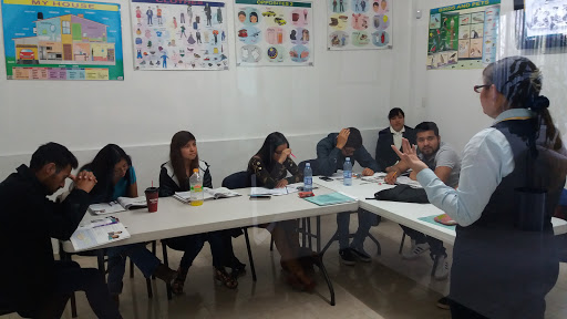 English World American English School