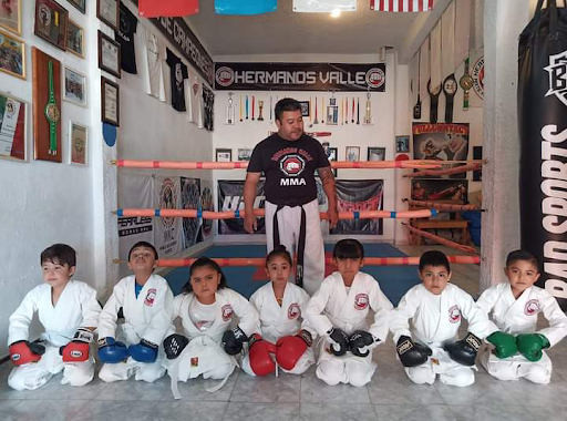 Escuela De Artes Marciales Hermanos Valle