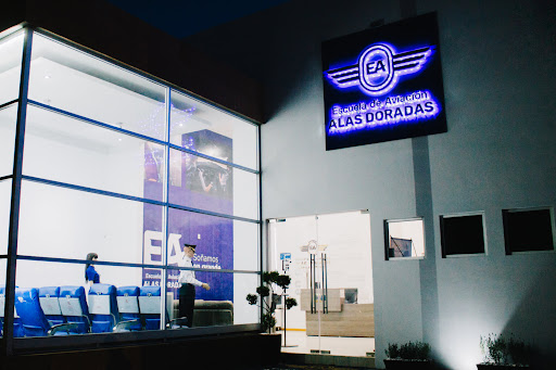 Escuela de Aviación Alas Doradas S.L.P.