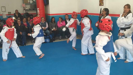 Escuela de Taekwondo FEFAMT Zinacantepec