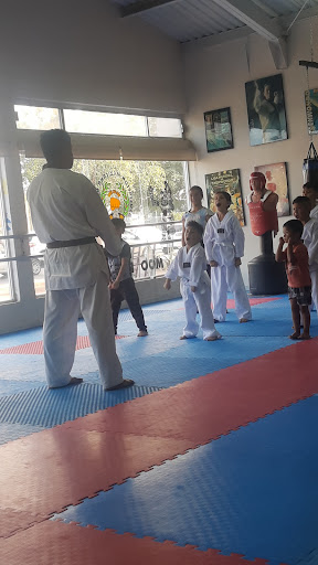 Escuela de Taekwondo Tae Kwon Do CELAAR mdk