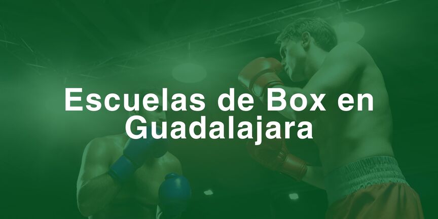 Escuelas-de-Box-en-Guadalajara