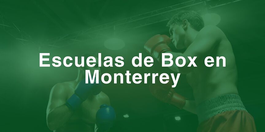 Escuelas-de-Box-en-Monterrey
