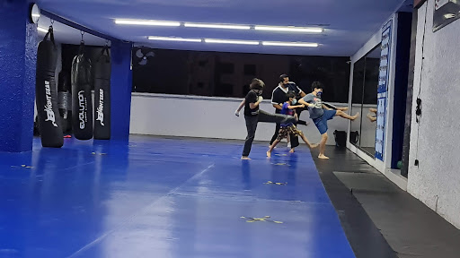 Evolution Combat & Fitness