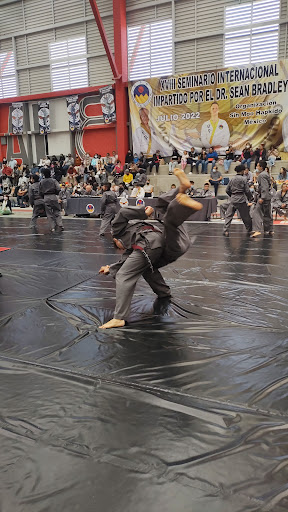 Fenix Academy Sin Moo Hapkido