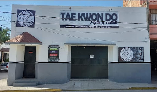 Harán Tae Kwon Do La Piedad