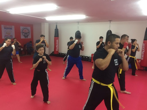 Highkick Combat Sport