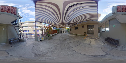 ICEST - Primaria Bilingue Paul P. Harris